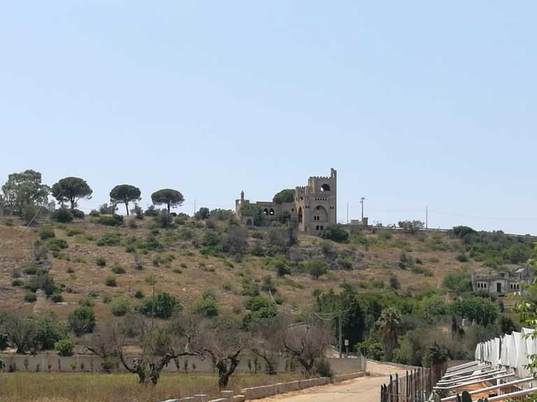 caterina de marca - 3