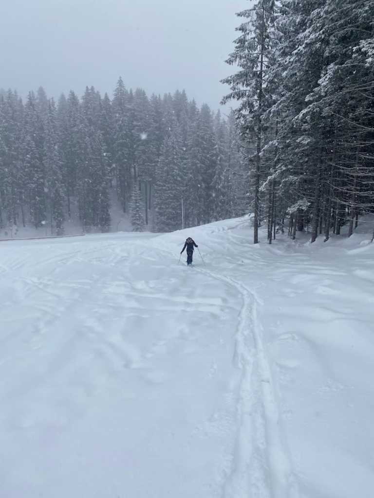 Kristina Sandefur - 3