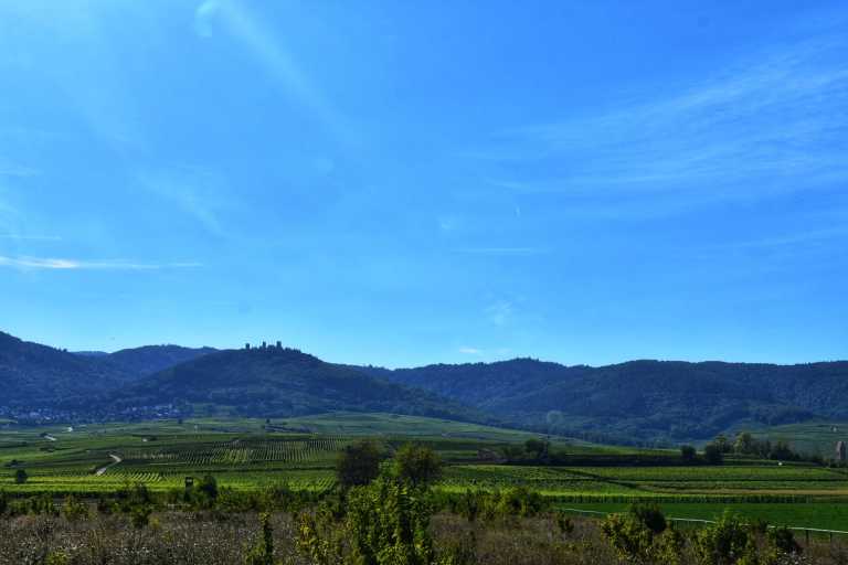 Orestis Giannakoulis - 4