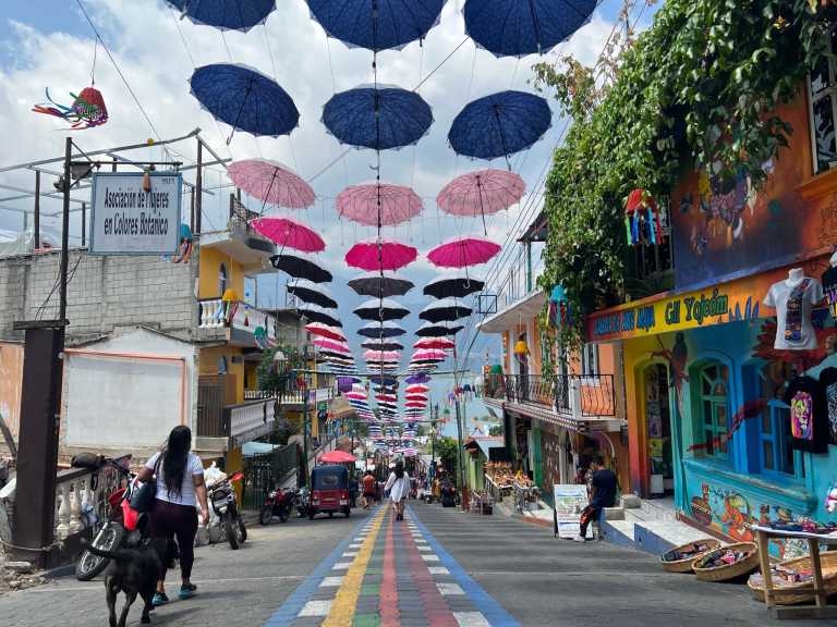 Anthony Abraham - 14