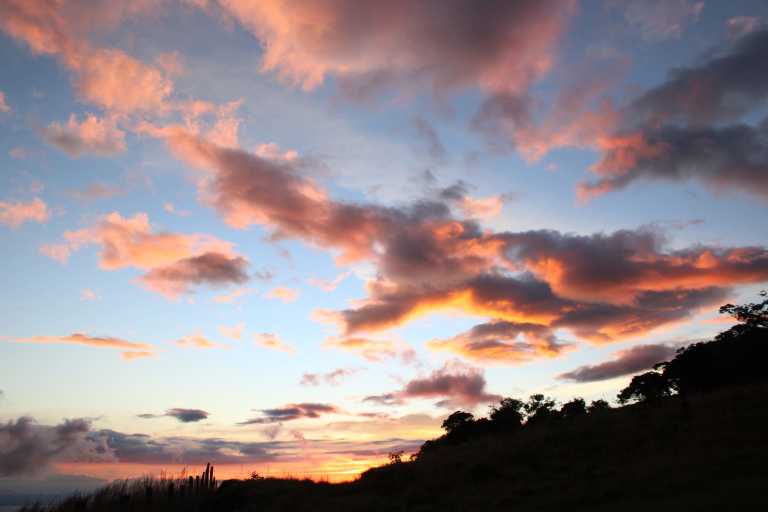 Marta Llopis Mora - 2