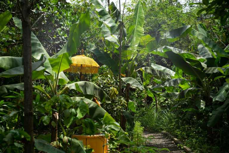 Indonesia - Ubud - 7 Days in Bali: Work Remotely, Reconnect Deeply, and Experience the Soul of Ubud (Private Bedroom) - 2