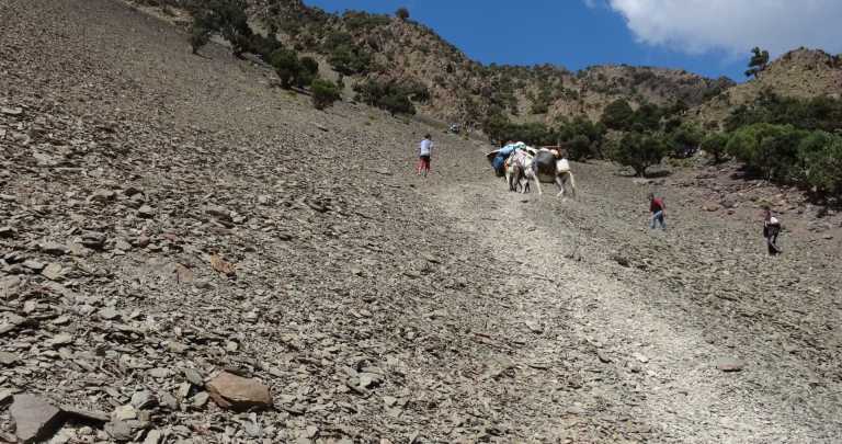 Morocco - Timichi - 3 Days Trekking In The Atlas Mountains in Morocco