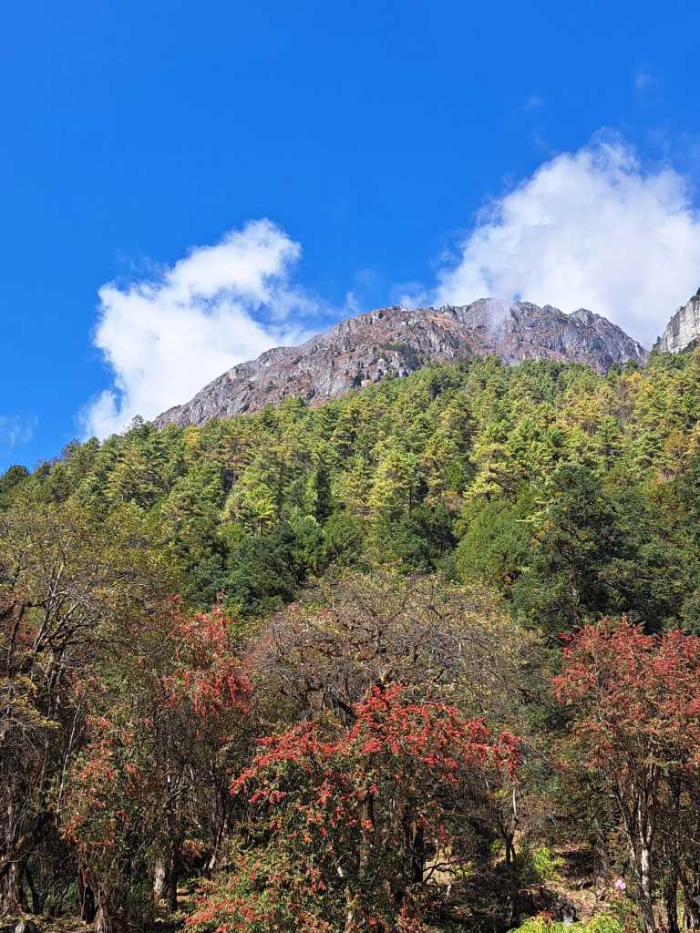 Pujan  Silwal Chhetri  - 1