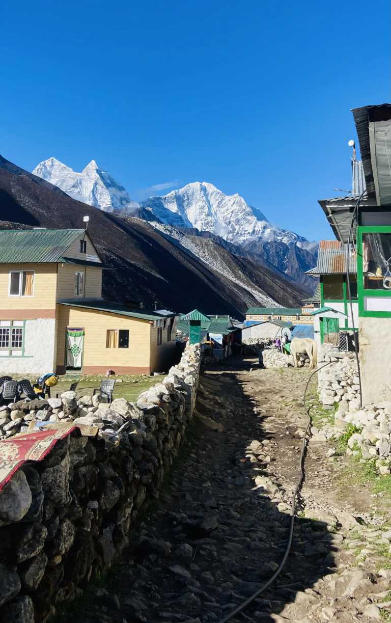 Nepal - Landruk - The Annapurna Heritage Yoga Trek: A Journey Back to Yourself