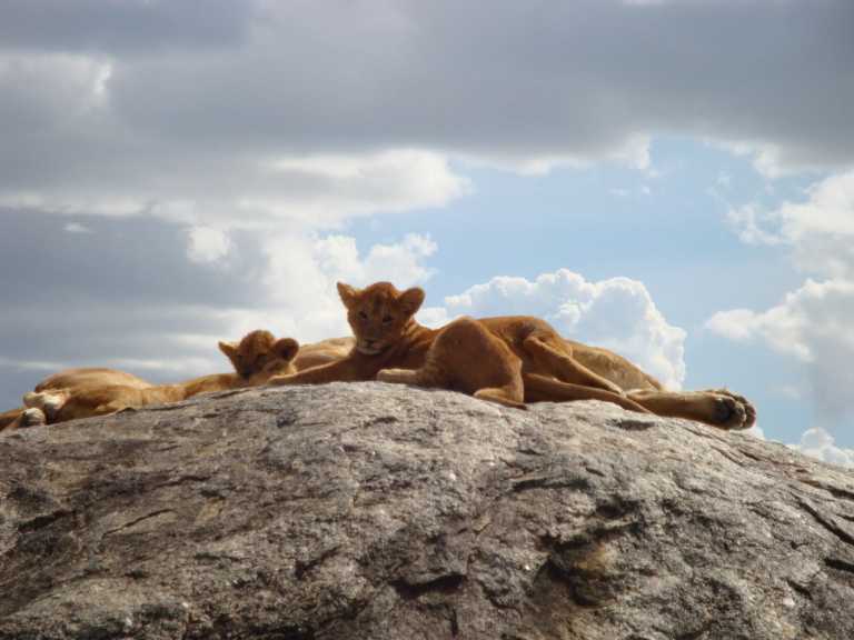 Belen Rodriguez - 21