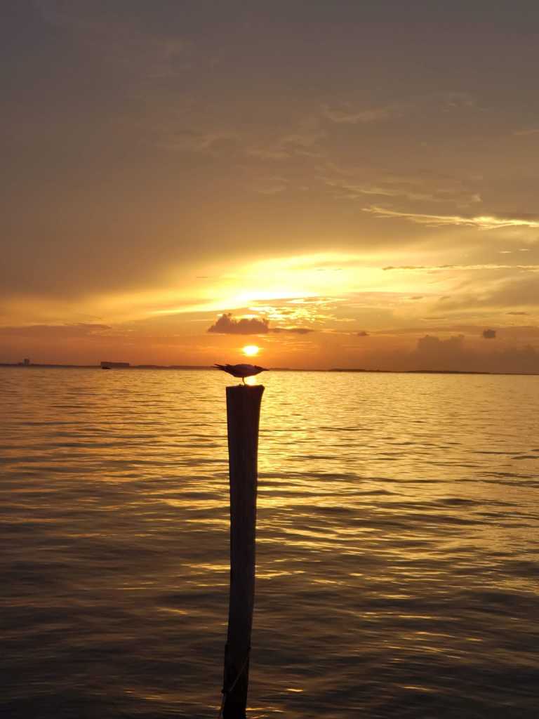 Víctor Raúl Vera - 0