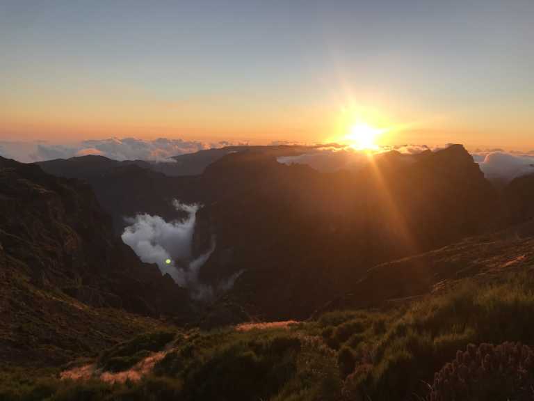 Jana Gerstenmaier - 1