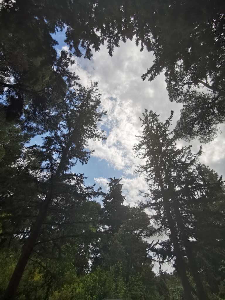 Marina Stasinopoulou - 18