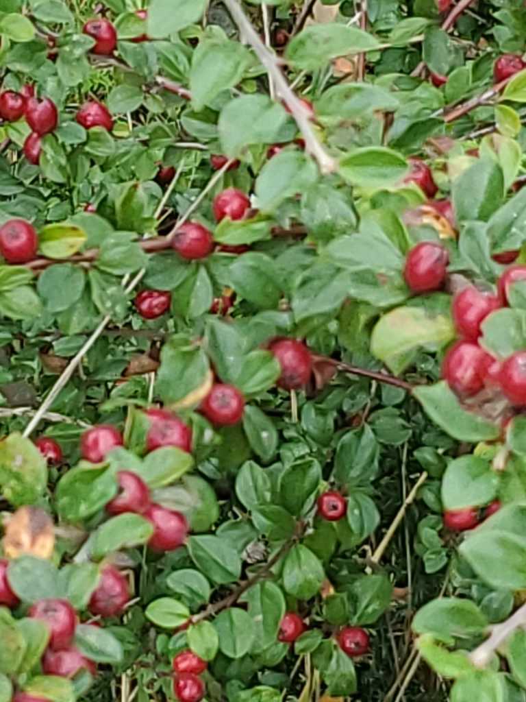 Kelsey  Richardson  - 3