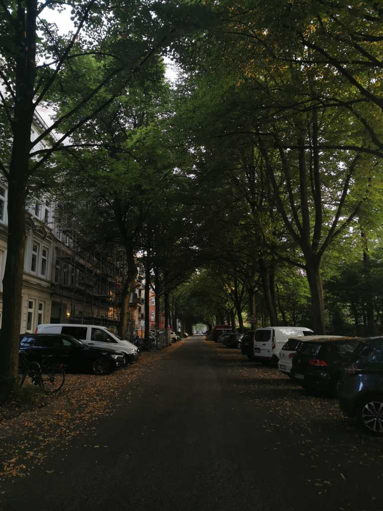 Marina Stasinopoulou - 19