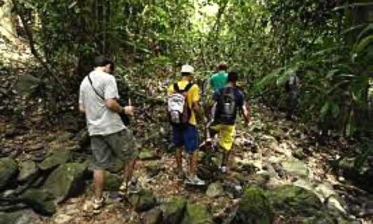 Eugene D Cloete - 19