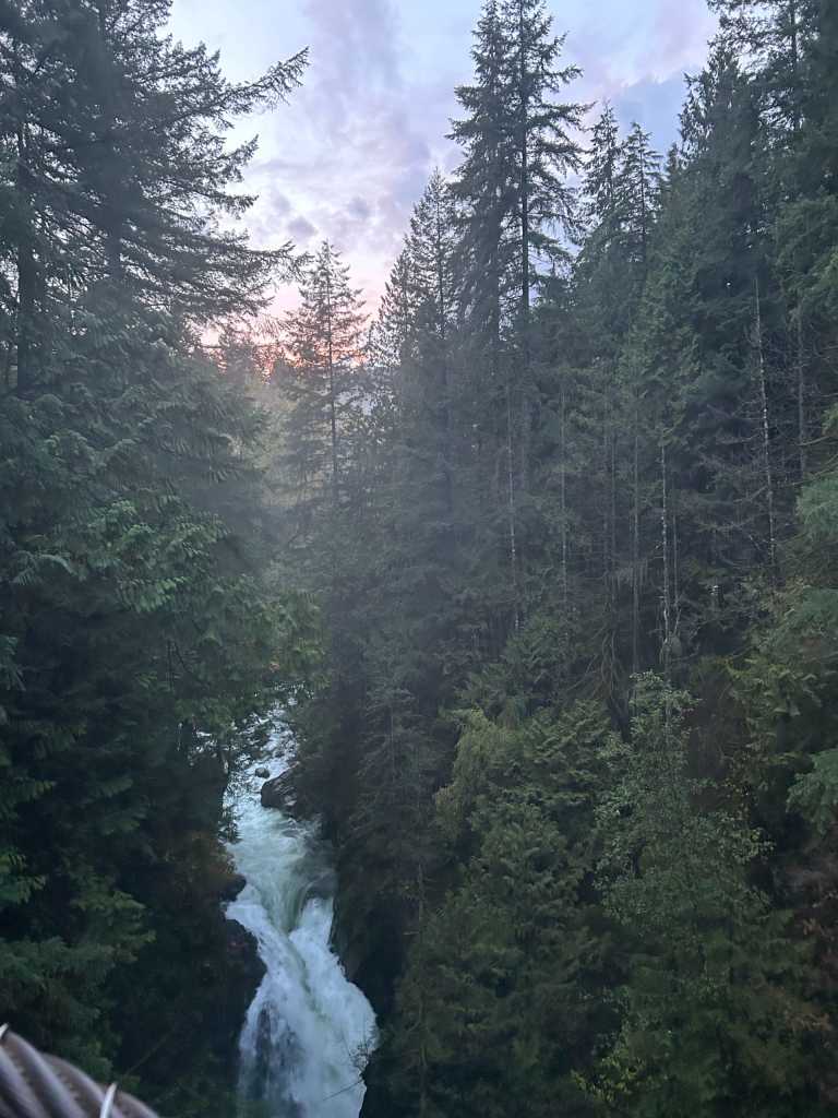 Anjali Madanlal Kapadia - 1