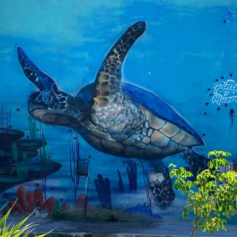 Francisco Jiménez Luna - 13