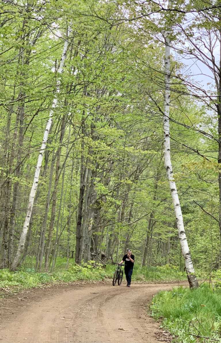 Jo Anne Northern - 0