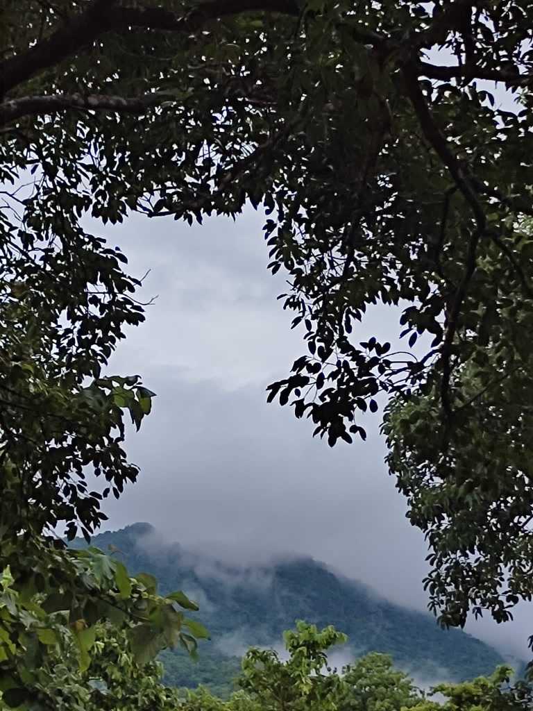 Sourabh Mohanta - 50