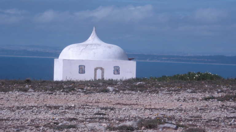 Alfredo José Ramalho Pação da Silva - 5