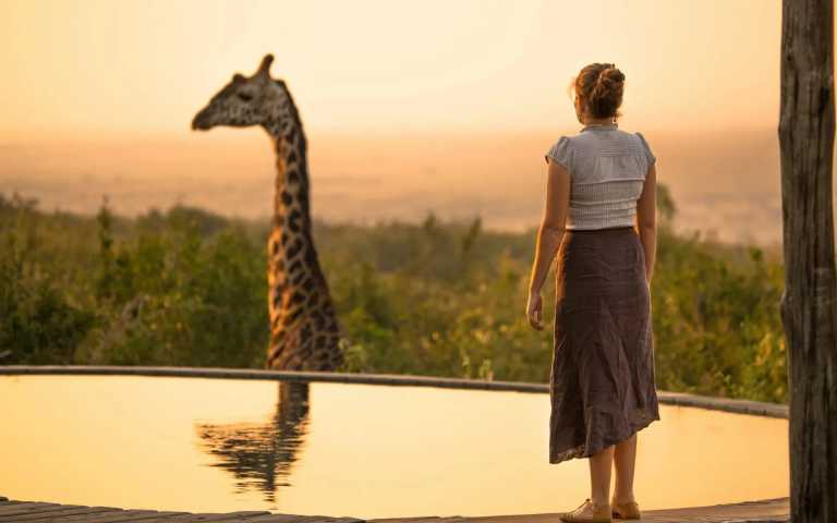 Kenya - Maasai Mara National Reserve - 🌍 Wild Wonders of Kenya | All-Inclusive Raw Nature Jeep Safari 🐘🦁🌅 - 3
