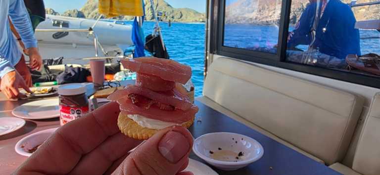 Mexico - Magdalena Bay - Baja Whale Watching & Catamaran Adventure 🇲🇽 | All-Inclusive Sailing from Magdalena Bay to La Paz - 4