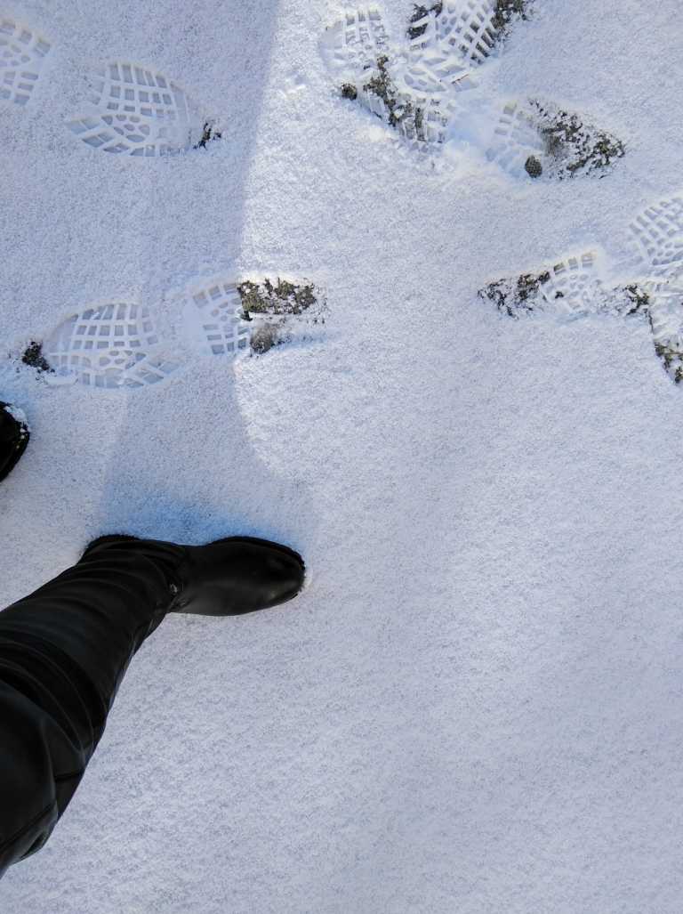 Letizia Galletti - 4