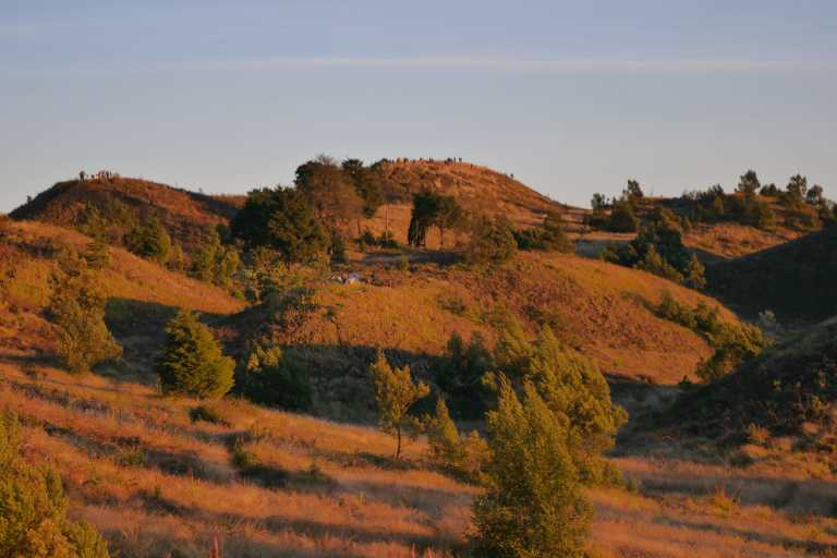 Abdul Latif R. F. - 2