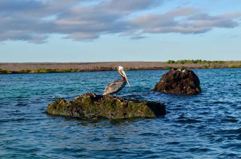 Ecuador - 5 Days Galapagos Adventure - JoinMyTrip