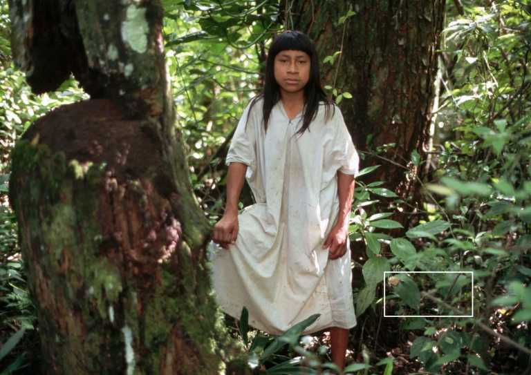 Mexiko - Off-the-Grid Chiapas: Mayan Roots & Jungle Gems - JoinMyTrip