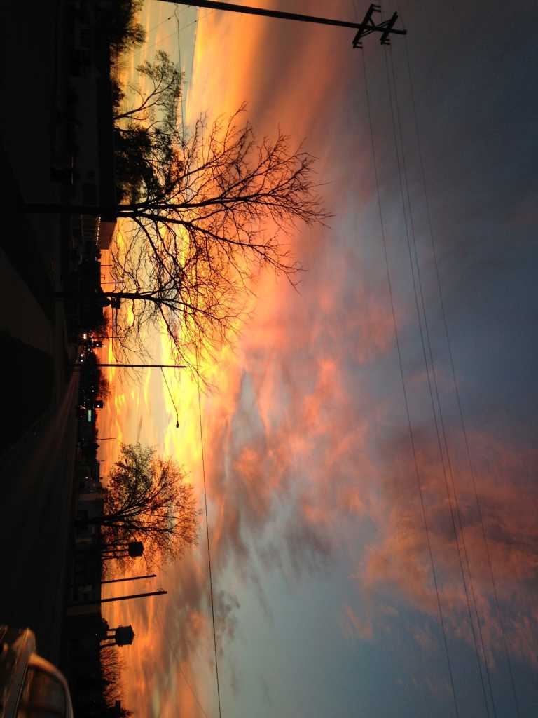 Mónica Espitia - 36