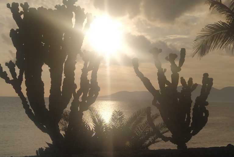 Letizia Galletti - 14