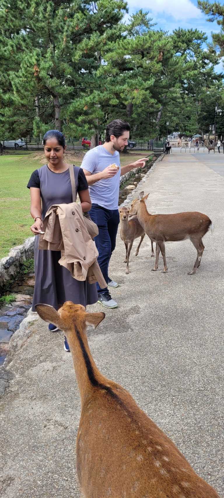 Lyssette Herrera Garcia - 27