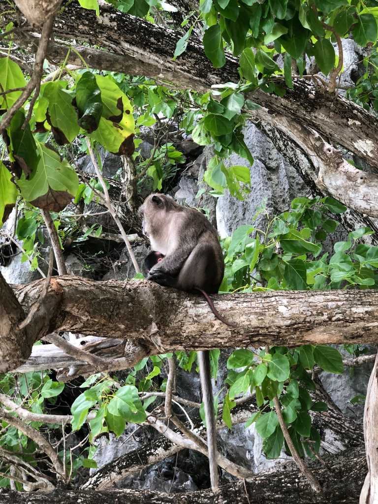 Anjali Madanlal Kapadia - 7