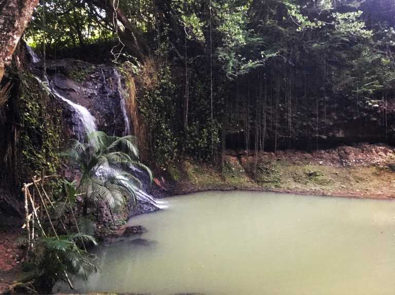 Alanna Andersen - 30