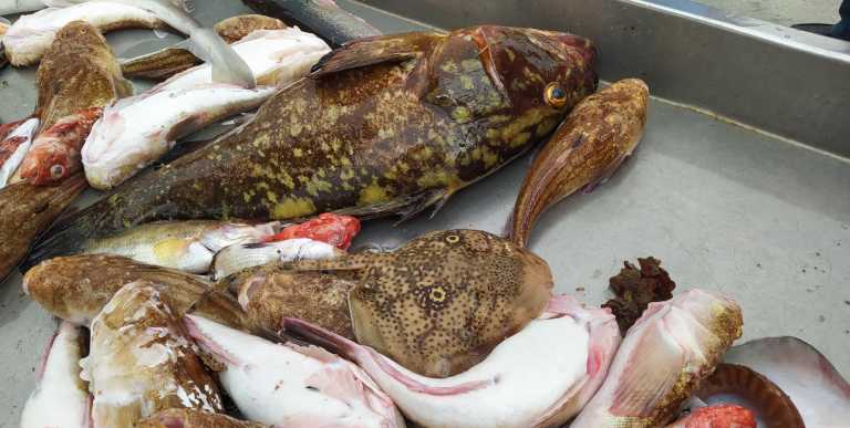 Letizia Galletti - 30