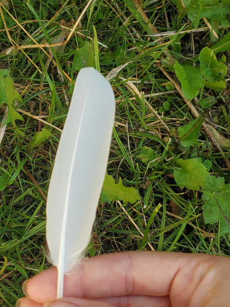 Kelsey  Richardson  - 9