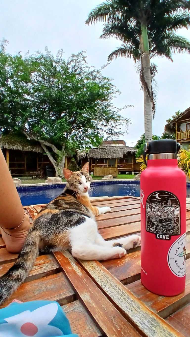 Megan Létourneau - 5