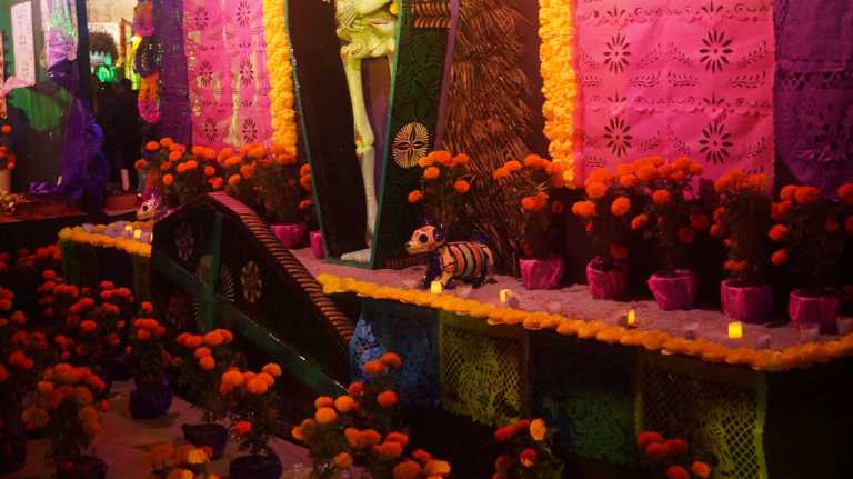 Vanesa Riscanevo - 5