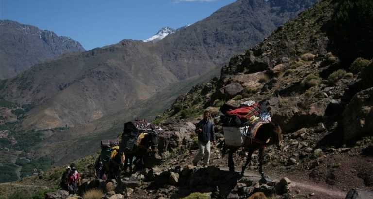 Morocco - Tachdirt - 3 Days Trekking The Atlas Mountains in Morocco ⛰️