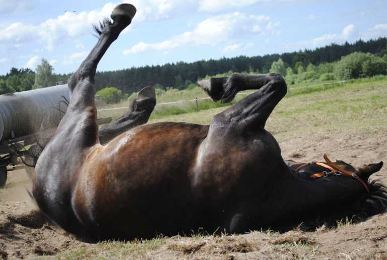 Oliwia Kaczmarek - 3