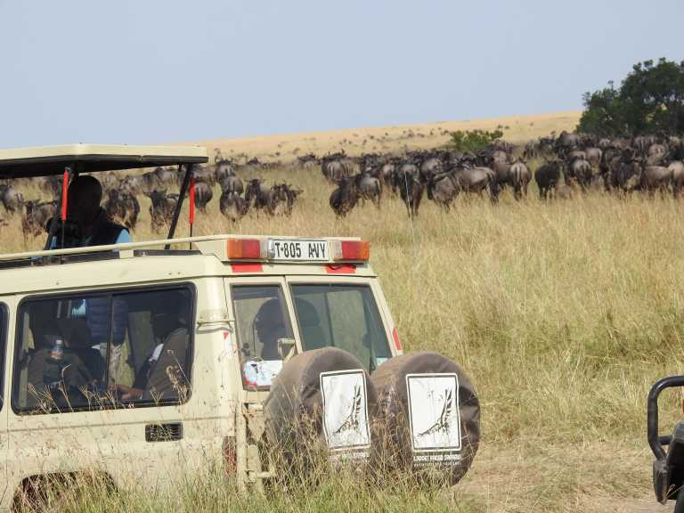 Francisco Raymond - 2