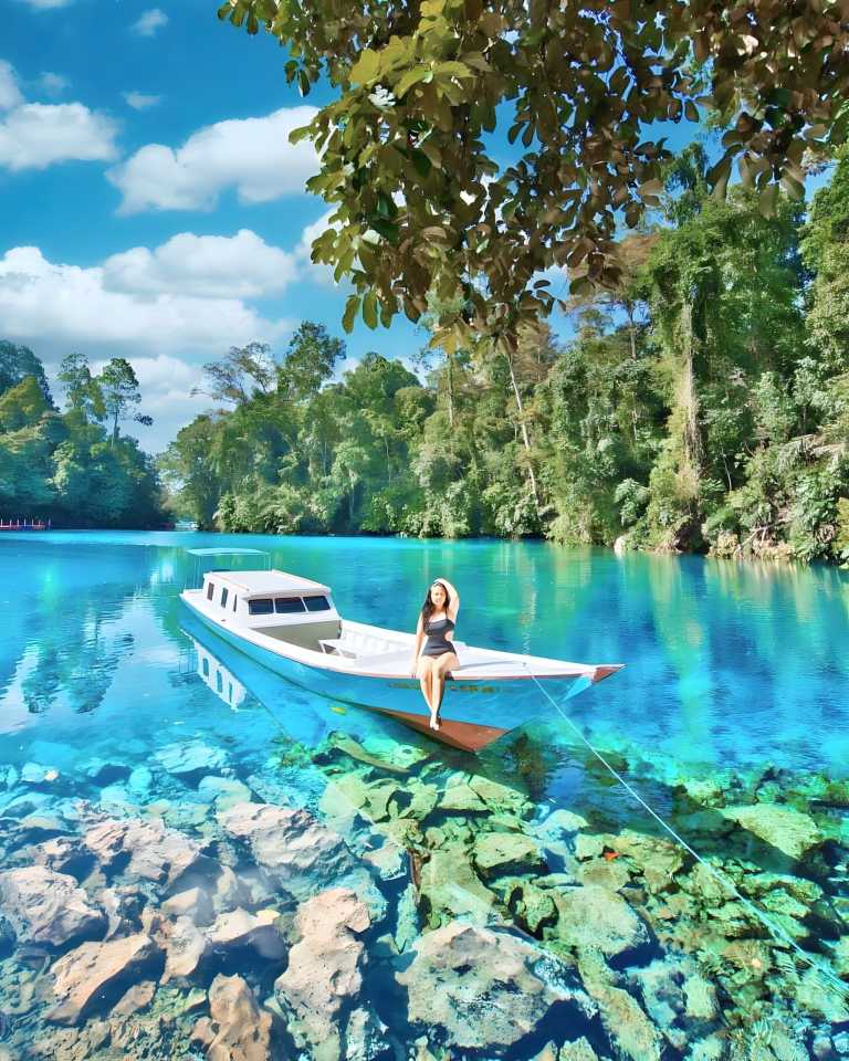 Sinta Komala Dewi - 0