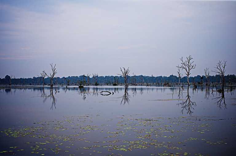 Guendalina Mantovani - 9