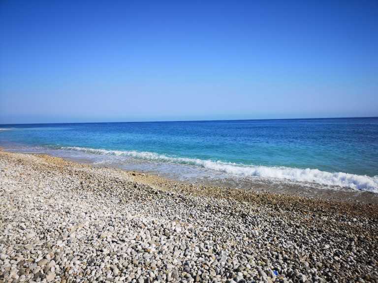 Zeus Azusa Shiraki - 0