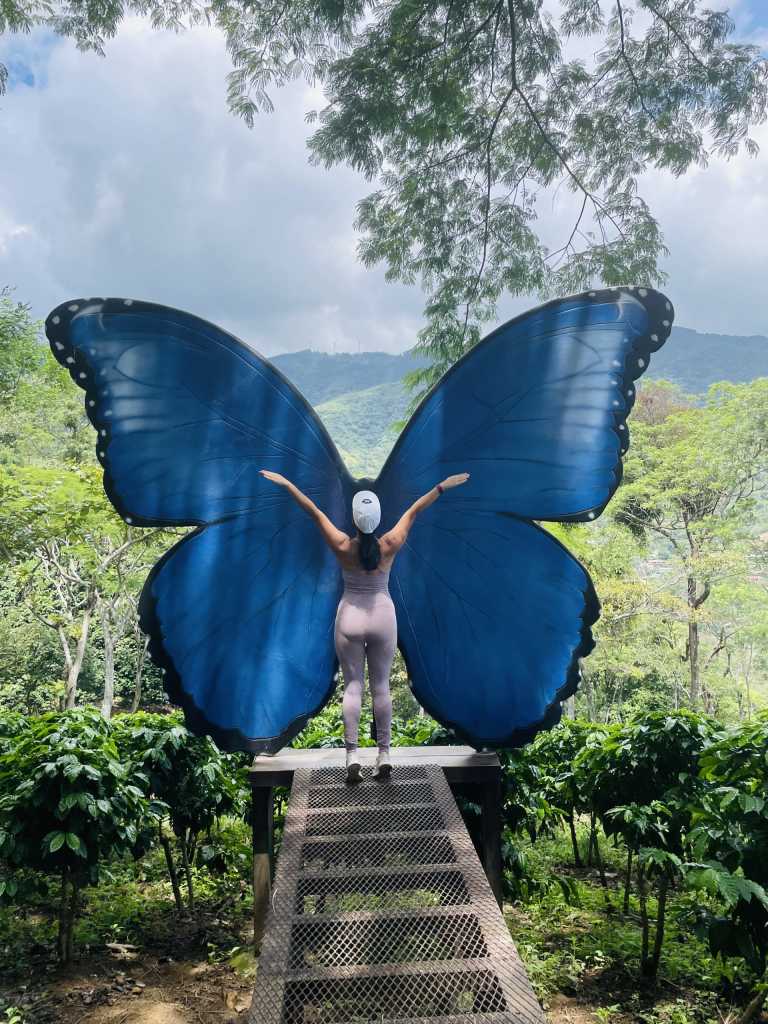 Alejandra  Rojas Víquez  - 0