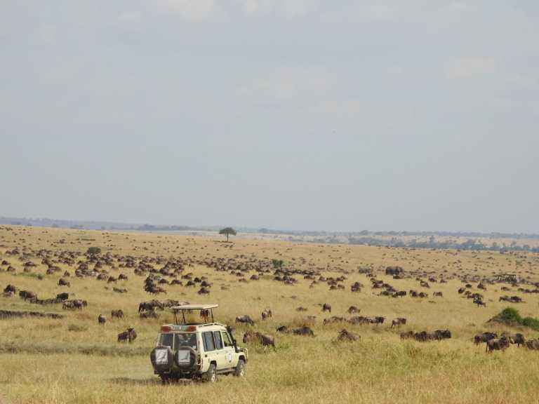 Francisco Raymond - 0