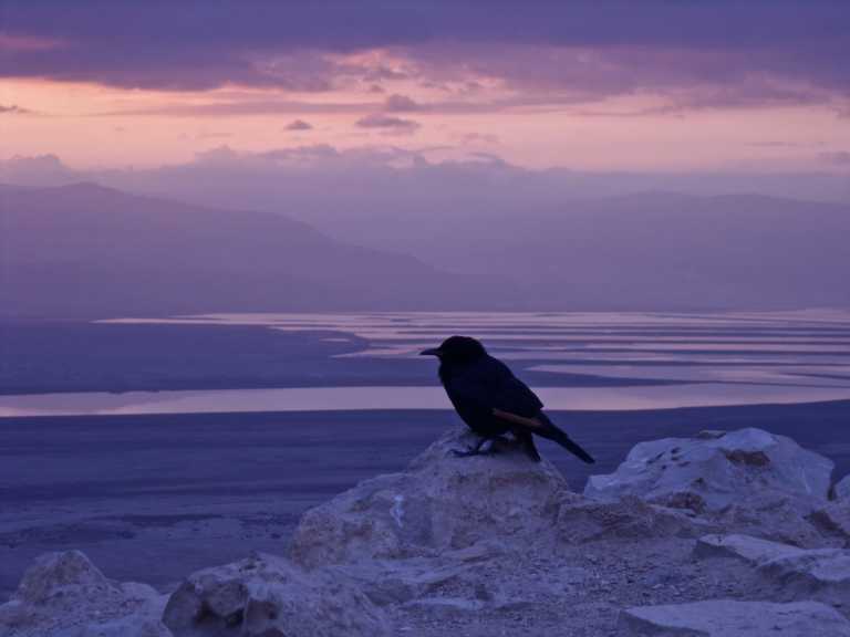 Guendalina Mantovani - 7