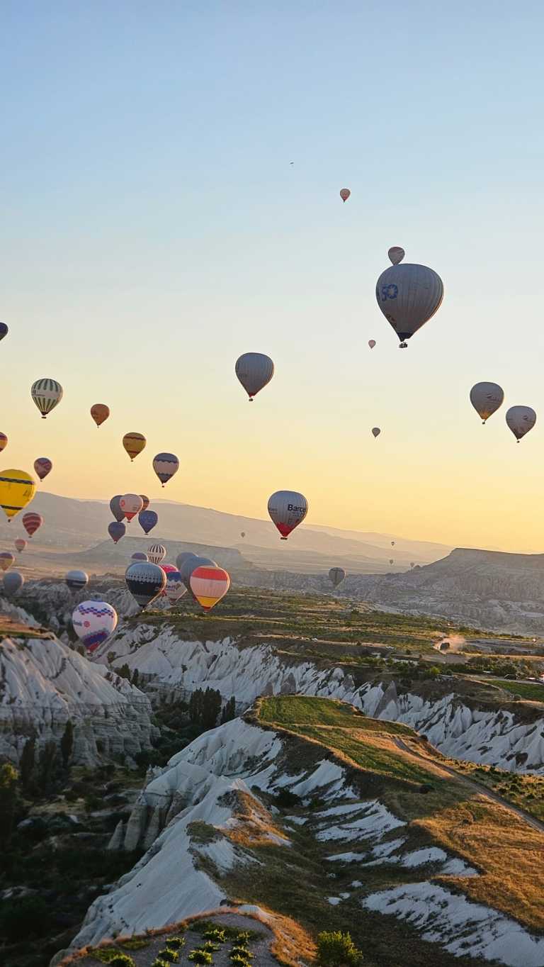 Mujtaba  Shoukath - 6