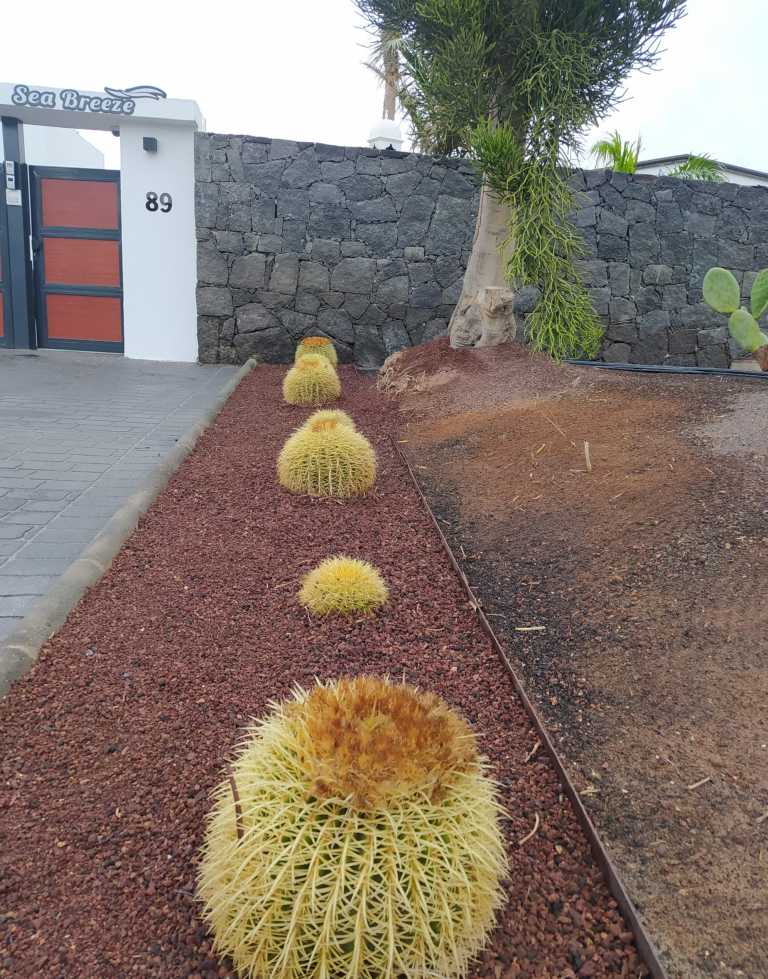 Letizia Galletti - 16