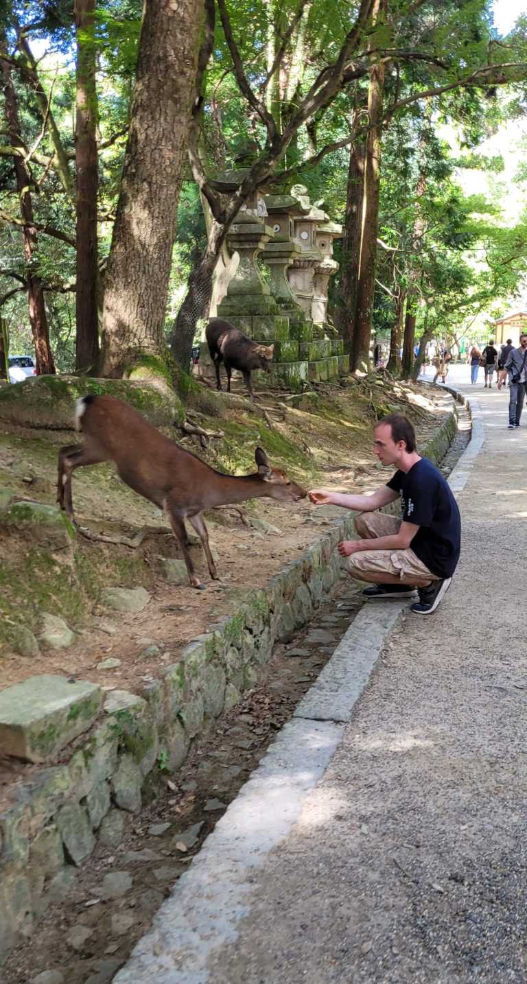 Lyssette Herrera Garcia - 26