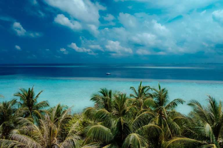 Maldives - Thulusdhoo - Maldives Off the Beaten Path – Dive into this destination like never before. Local concert, food experiences, unforgettable beaches, snorkeling with sharks, stingrays, dolphins and turtle - 2