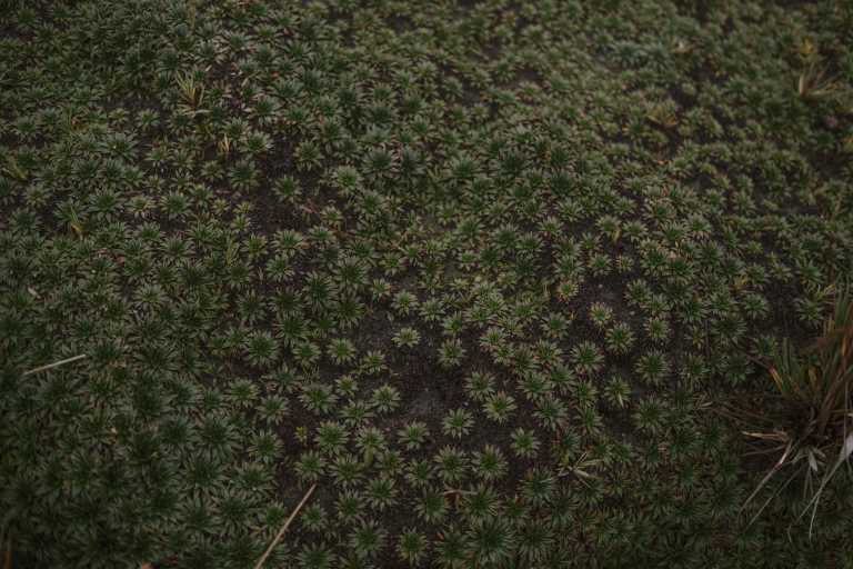 Sara Gaviria Villa - 12